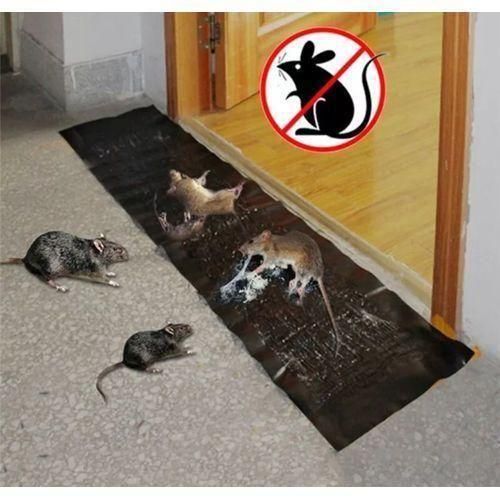 Large Size Catcher Rat Gum, Rodent Rat Glue Item | Buy Large Size Catcher Rat Gum, Rodent Rat Glue | SPOP Enterprise Global